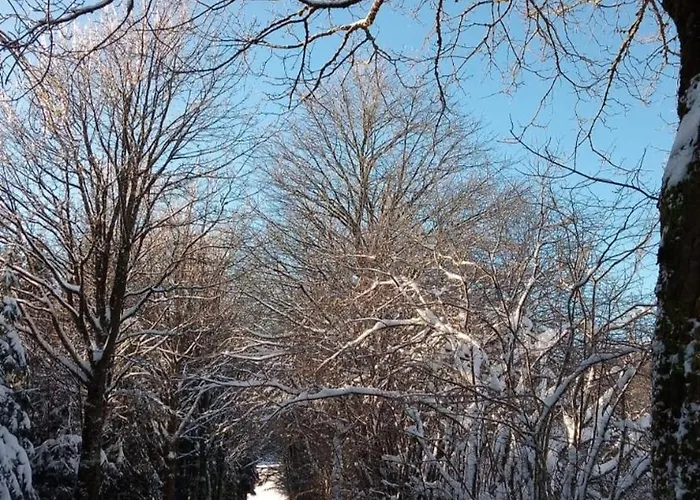 Detached House 50m From Lift Semesterbostad *